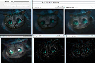 Проконсультирую по OpenCV