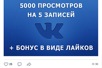 5000 просмотров на 5 записей ВК
