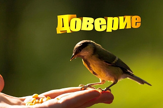 Сделаю превью для видеролика на YouTube