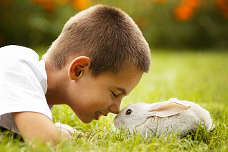 Напишу рассказы о природе для детей 8-12 лет