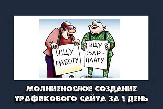 Создание трафикового сайта для заработка за 1 день
