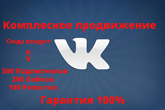 Комплексное продвижение в Вк