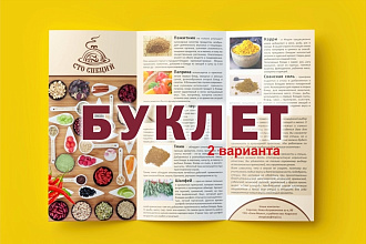 Сделаю буклет с двойным сгибом, две стороны