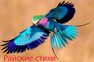 Райские стихи