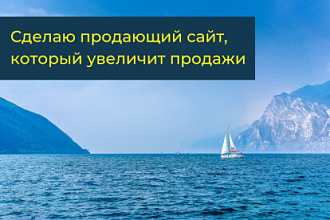 Конверсионный Сайт на WordPress под ключ