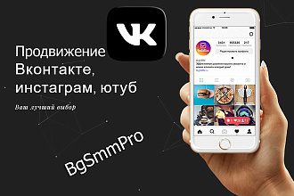 2500 подписчиков + 1000 лайков + 30 репостов + 2500 просмотров