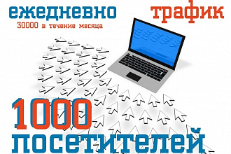 1000 уникальных посетителей на сайт каждый день, в течение месяца