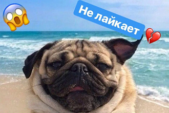 Лайки в instagram 3000