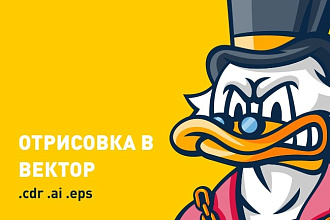 Отрисую в вектор растровое изображение любой сложности.cdr, ai, eps