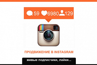 600 Подписчиков в Instagram, живые исполнители с гарантией