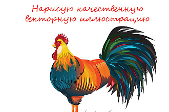 Нарисую векторную иллюстрацию