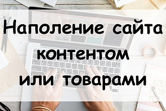 Наполняю сайт контентом