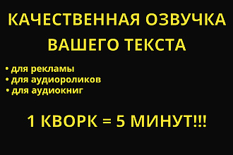 Качественная озвучка ваших текстов