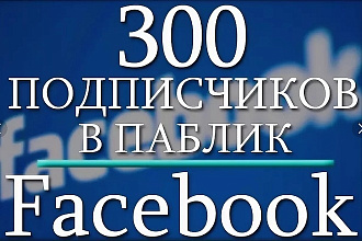 300 подписчиков В паблике НА Facebook