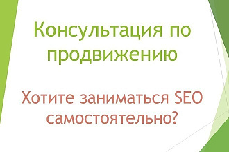 SEO-консультации