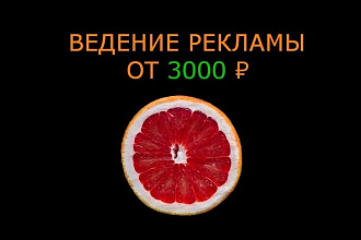 Ведение рекламной кампании Я. Директ с аналитикой и отчетами