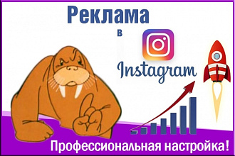 Профессионально настрою таргетированную рекламу в Instagram