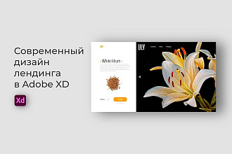 Дизайн лендинга в Adobe XD