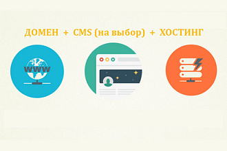 Зарегистрирую домен и хостинг, установлю Вордпресс или другую CMS