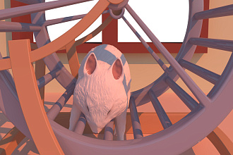 Обучение - Blender 3D Beginner