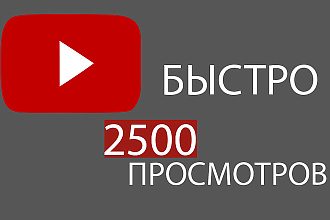 2500 просмотров на YouTube