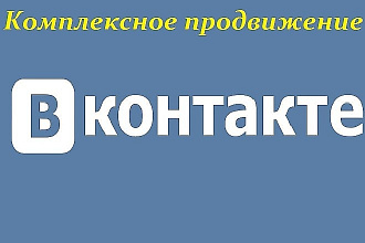 Комплексное продвижение группы В Контакте в течение 7 дней