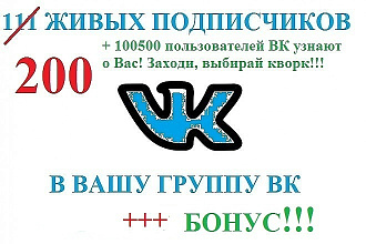 За 3 дня 200 живых участников в группу ВК. Вручную, без ботов+бонус