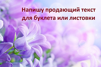 Напишу продающий текст для буклета или листовки