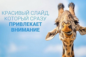 Стильная и грамотная презентация