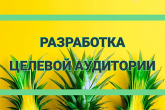 Разработка целевой аудитории