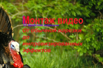 Монтаж видео