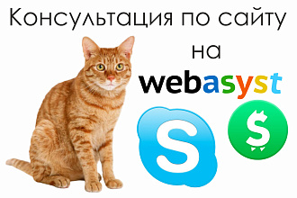 Консультация по сайту на Webasyst Shop-Script