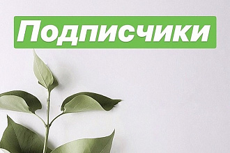 Продвижение в социальной сети Instagram. Lite. 1000 подписок