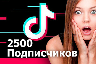 2500 подписчиков в Тик ток. Подписчики Tik Tok