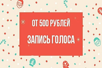 Запись голоса любой длительности