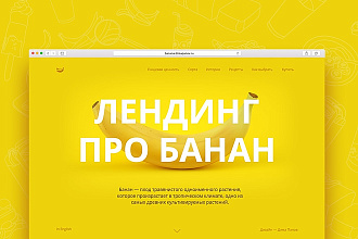 Сделаю копию лендинга