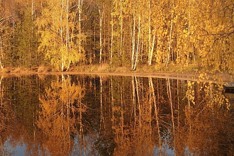 Пишу цепляющие посты для блогов, инста-пейдж и иных социальных сетей