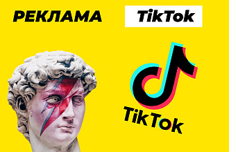 Таргетированная реклама в TikTok