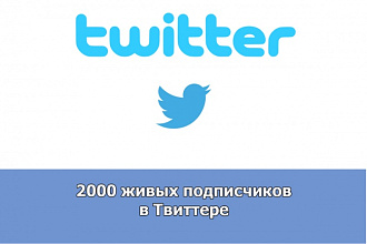 2000 живых подписчиков в твиттер