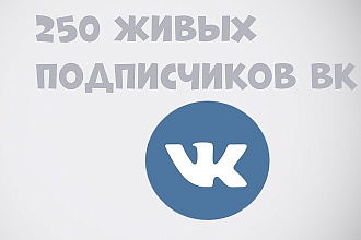 250 живых подписчиков в группу вк