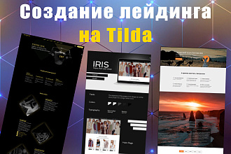 Создание сайта - лендинга на Tilda