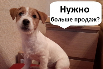 Настройка рекламы Яндекс Директ