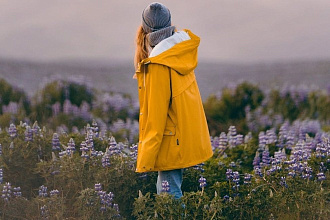 Подбор 50 тематических фото с топовых стоков