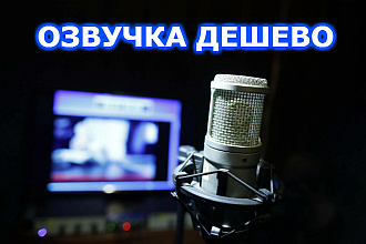 Озвучка текста женским голосом. Разный объем