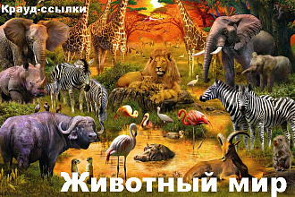 Крауд-маркетинг. Животный мир