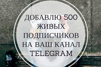 Добавлю 300 живых подписчиков на ваш канал Telegram