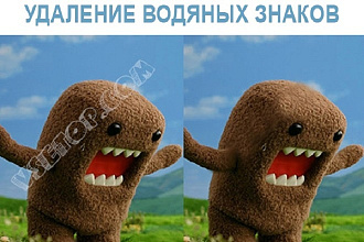 Сотру водяные знаки с изображения