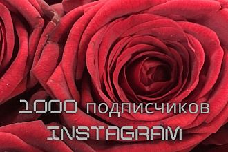 1000 подписчиков инстаграмме