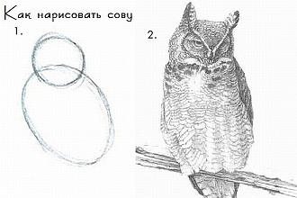 Оцифровка текста