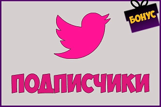 1000 живые подписчики Twitter, без программ и ботов +Бонус